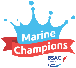 BSAC Marine Champions Logo
